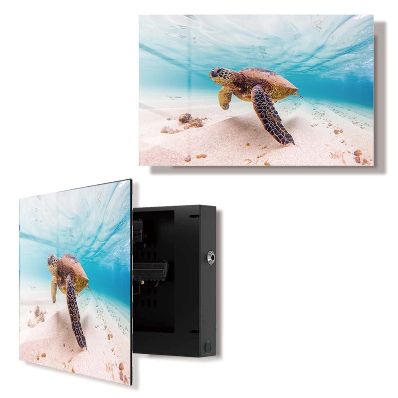 Glass Sea Turtle Gun Storage Cabinet main product image
