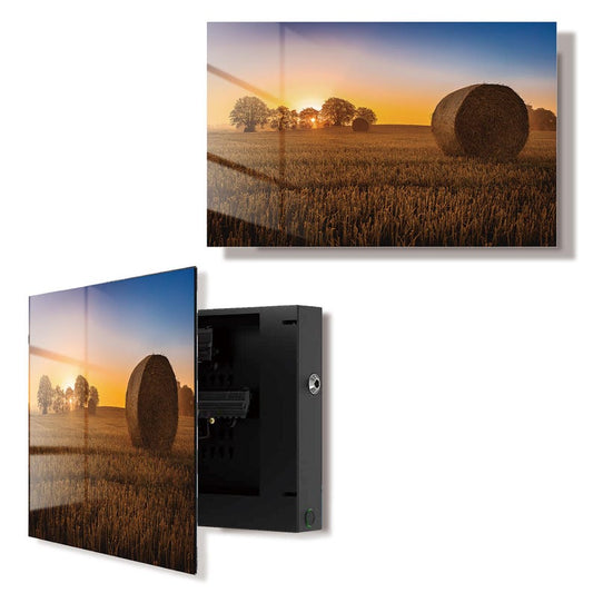 Glass Haystack Wall Art Gun Storage Cabinet