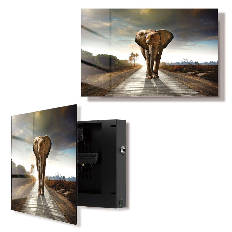 Glass Elephant Gun Storage Cabinet