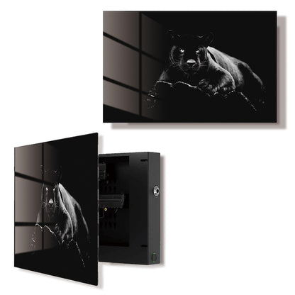 Glass Black Panther Gun Storage Cabinet