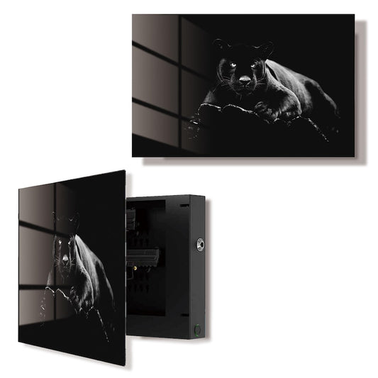 Glass Black Panther Gun Storage Cabinet