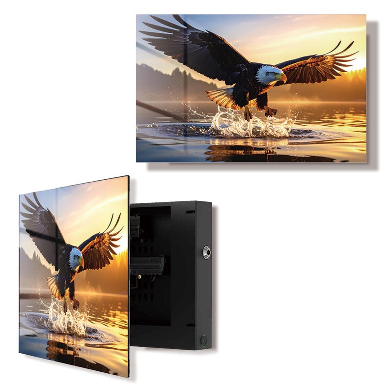 Glass American Eagle Gun Storage Cabinet