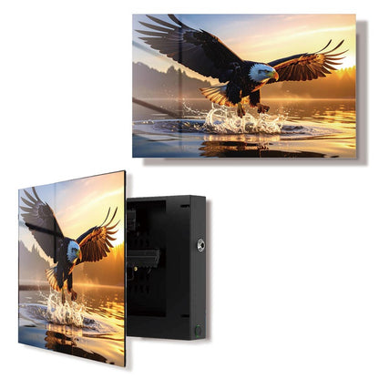 Glass American Eagle Gun Storage Cabinet