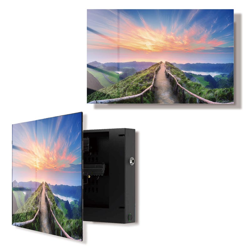 Glass Road Wall Art Gun Storage Cabinet