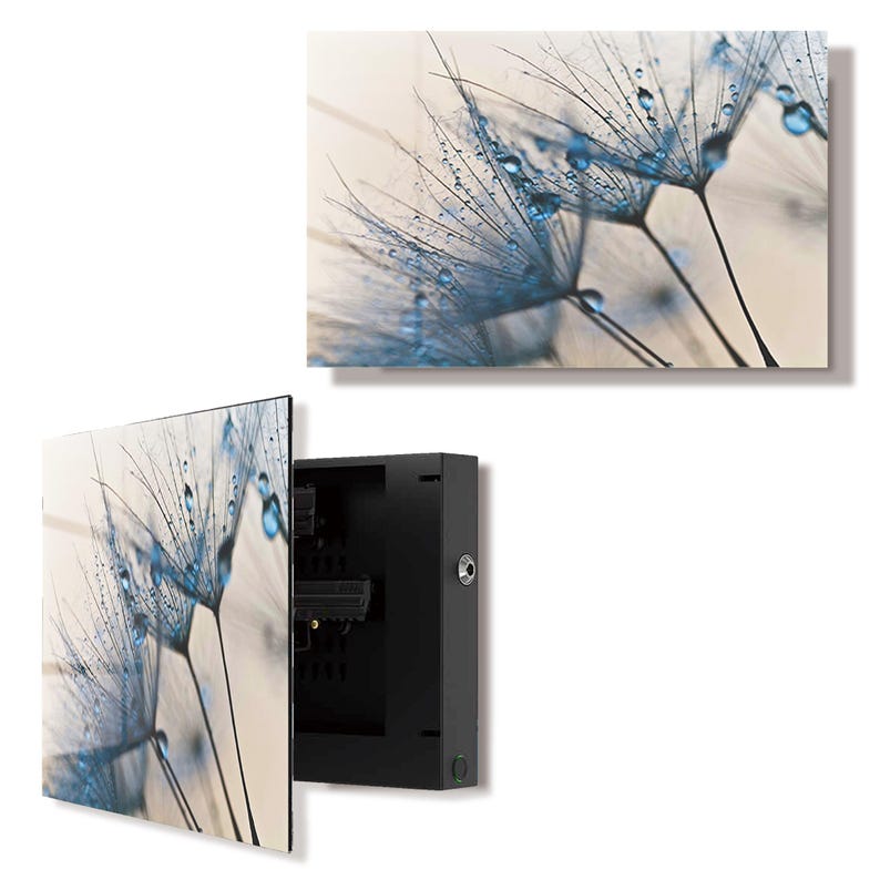 Glass Dandelion Wall Art Gun Storage Cabinet