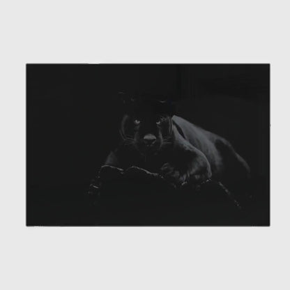 Glass Black Panther Gun Storage Cabinet