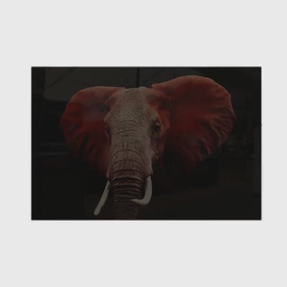 Glass Elephant Gun Storage Cabinet